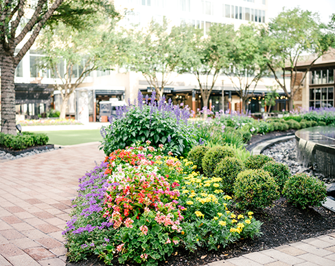 Landscaping Commercial Buena Park thumbnail