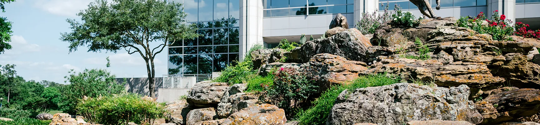 Dallas commercial landscape design services near me