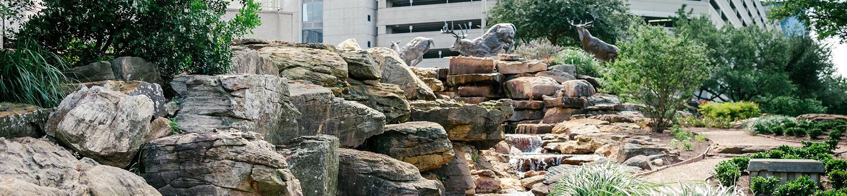 Dallas commercial landscape services near me