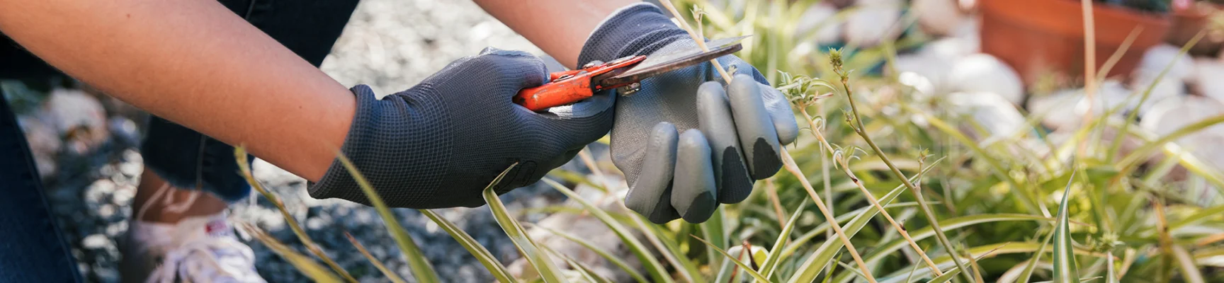 Houston commercial landscape services near me