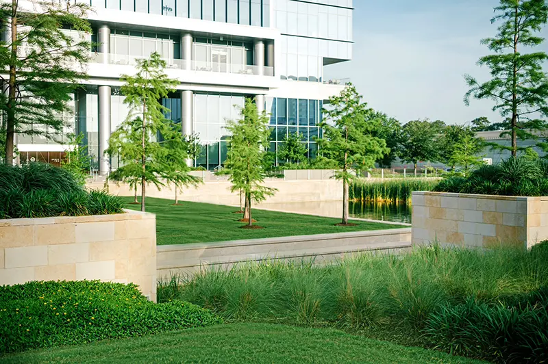 Houston indoor plant maintenance services near me