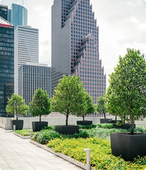 best commercial landscaping company Texas