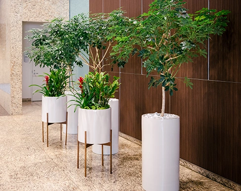 commercial indoor landscaping Houston, TX