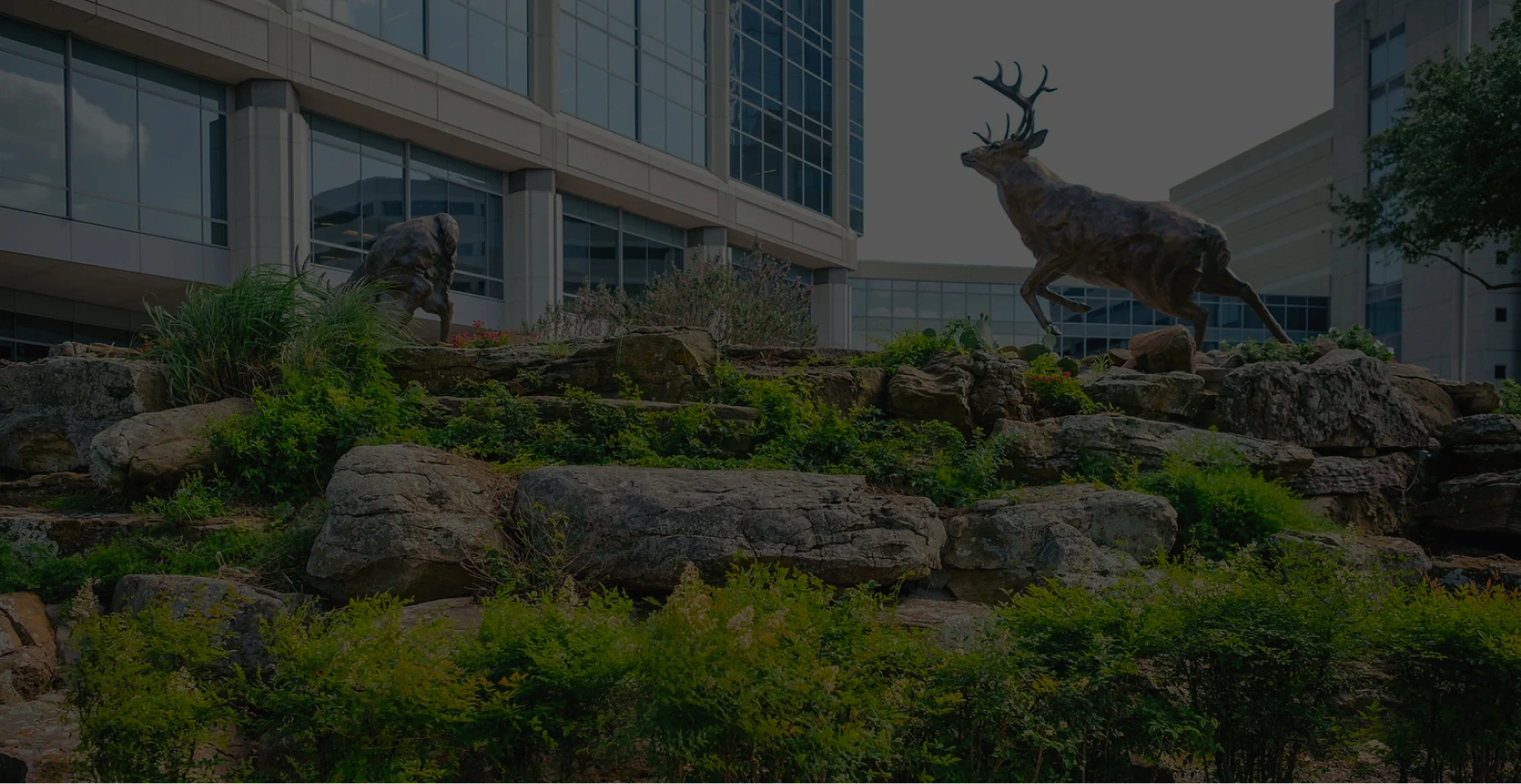 commercial landscaping company Texas