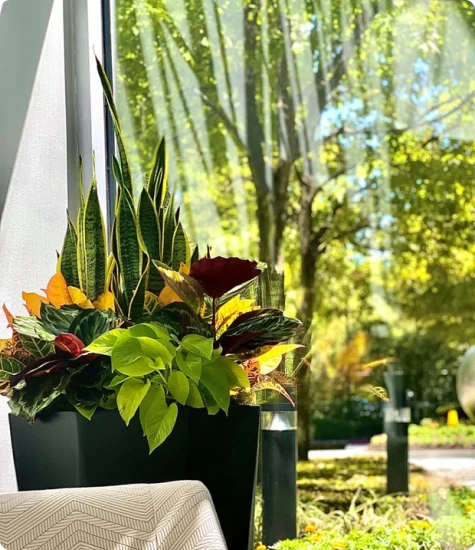 commercial landscaping-services Texas