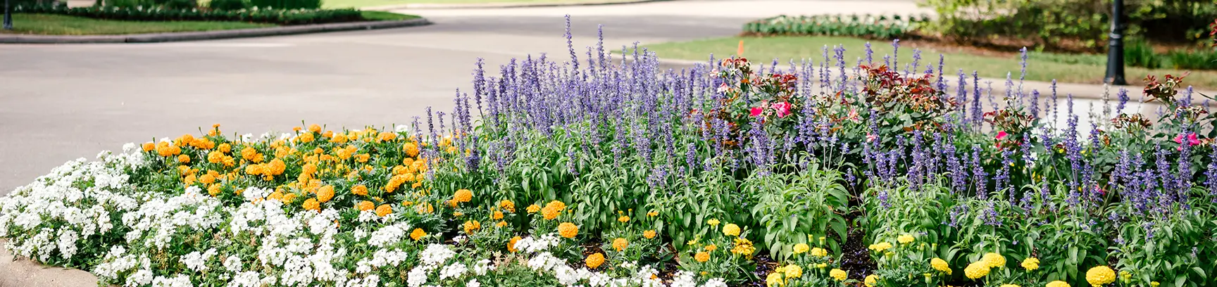 HOA landscape maintenance Houston
