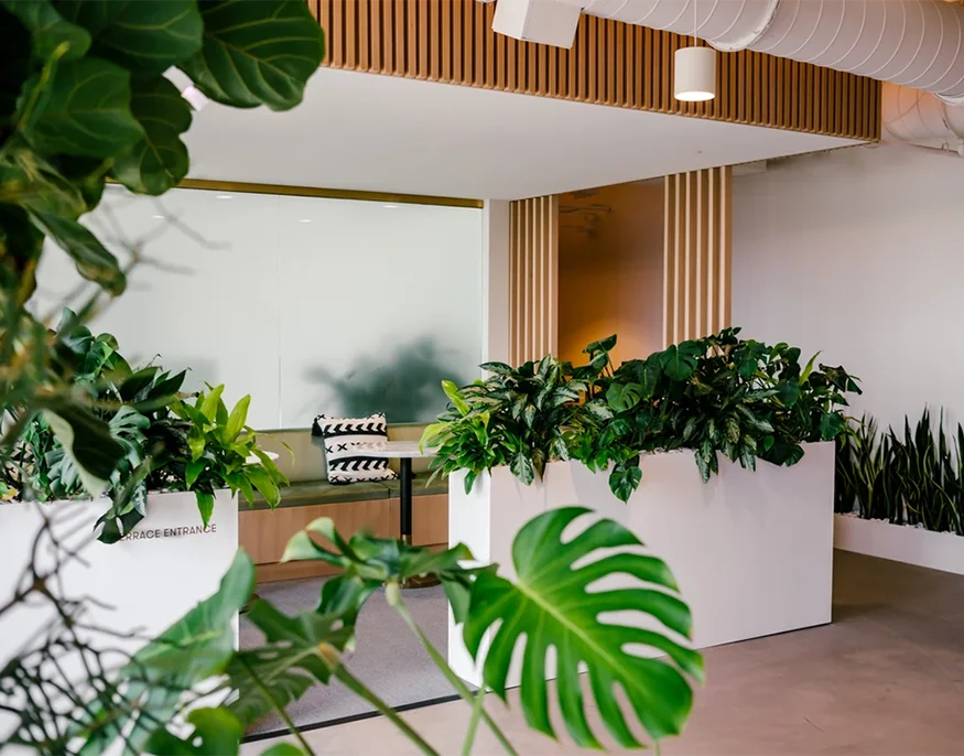 Houston commercial interior decorating services